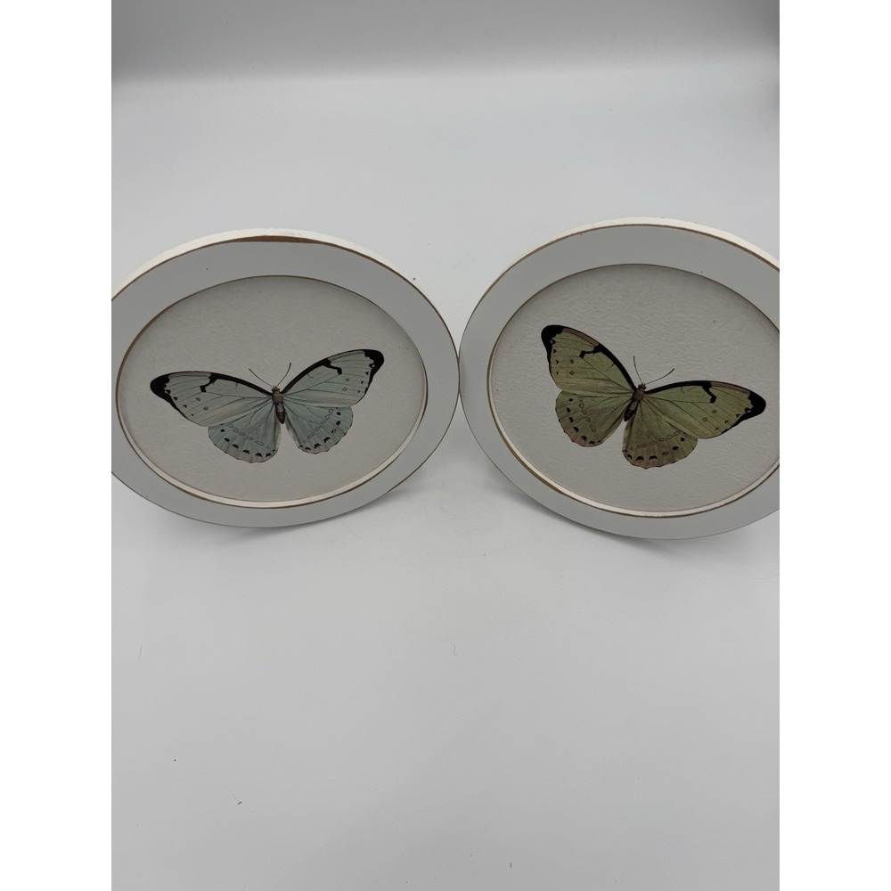 Set Of Decorative Butterfly Nature‎ Multicolor Vertical Prints